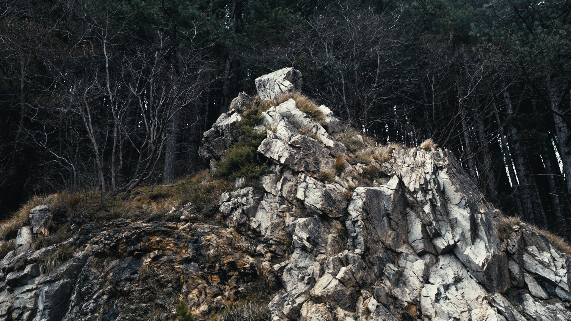 10.10.99 Trailer Thumb